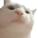 emoji_69