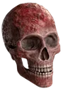 bloodskull