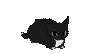 dancingcat