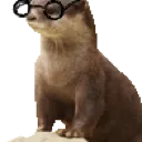 NerdOtter_Homies18