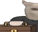 xddbusiness1
