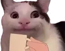 sip sip