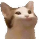 catLUL1 catLUL1