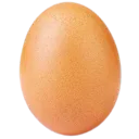 egg~1 Discord Emoji