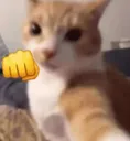 ThisYoungManIsGoingToPunchYou