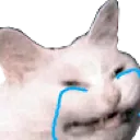 sadlycat Discord Emoji