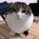 OhTheMisery OhTheMisery