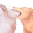 S_Nom