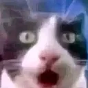 heshock