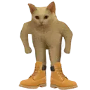 squareup squareup