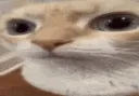 uuh