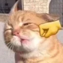 meowpunch