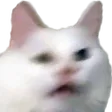 nymnHUH nymnHUH