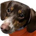 gusgus