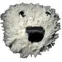 sam_sniff