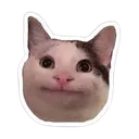 kediy
