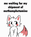 mauzymicecat1