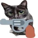 Catgun