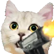 Catgun Catgun
