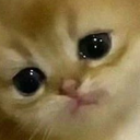 nightmare_10 custom emote | {рп}~ДуРкА~{рп}