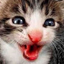 hehe custom emote | {рп}~ДуРкА~{рп}