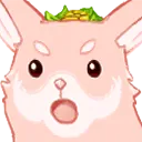 FynniShock