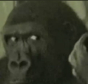 echat_Stares Discord emoji