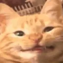Happyge Happyge