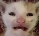 scarredforlife