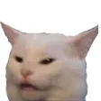 dankcat