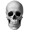 skull_fr