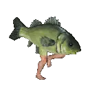 fishrun