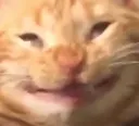 High