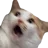 ohno