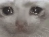SAD