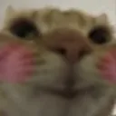 mewhenanne mewhenanne