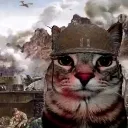 mraow