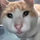 Huh