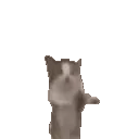 IdiotJumpingCat