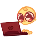 VV_LaptopComputerTyping