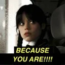 YouThinkYouCute