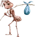 sadant sadant