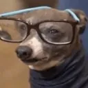 dorkyglasses