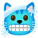 cat_coldface