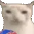 veryCat veryCat