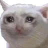 Sad