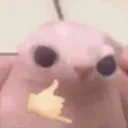 catsomehowganginguponme