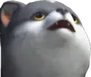 torgal