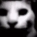 Malevolence