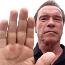 arnoldHALT Discord emoji